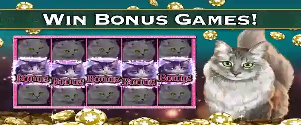 Slot Jackpot Monitor APK No Ads