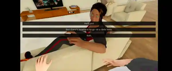 3D Visual Novel Adult Game